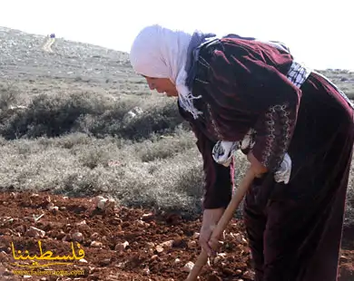 ندوة في بيروت حول حق العمل للاجئين الفلسطينيين في لبنان