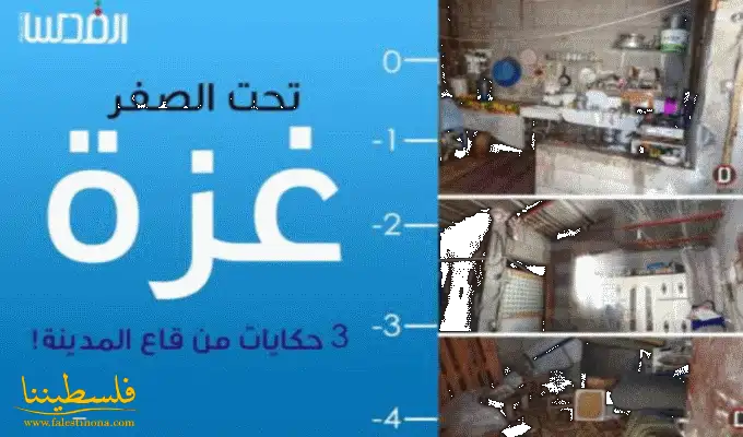 عندما تستقر الحياة اسفل درجة الصفر