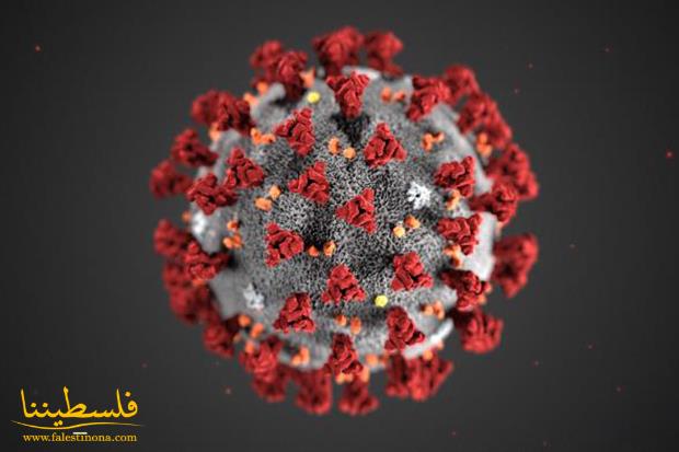 كورونا عالميا: أكثر من 513 ألف وفاة ونحو 10 ملايين و578 ألف إصابة