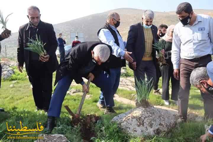 "السوسنة الملكية" تزين السفوح الشرقية لطوباس