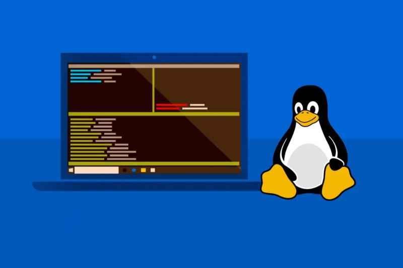 مايكروسوفت تجلب تطبيقات Linux GUI إلى ويندوز 10