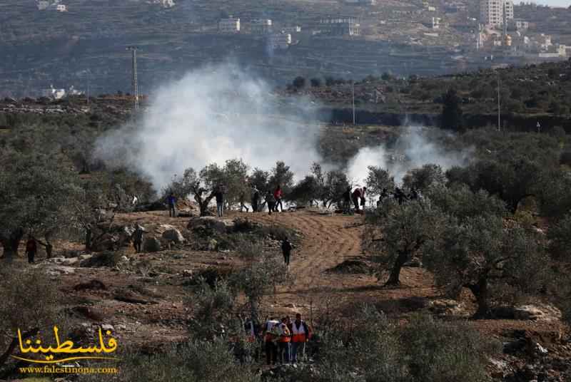 تواصل انتهاكات الاحتلال: إصابات واعتقالات وهدم وهجوم للمستوطنين