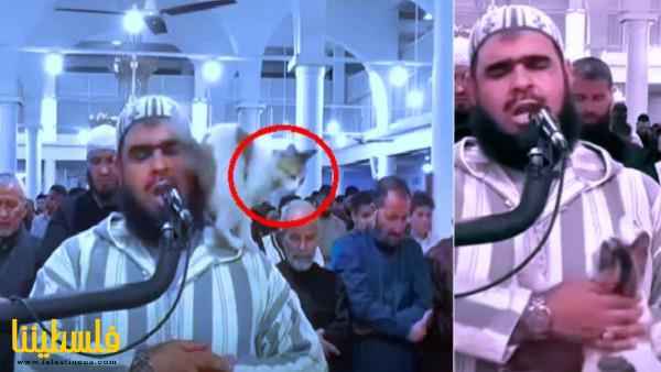 قطة تعتلي كتف إمام مسجد أثناء صلاة التروايح في الجزائر