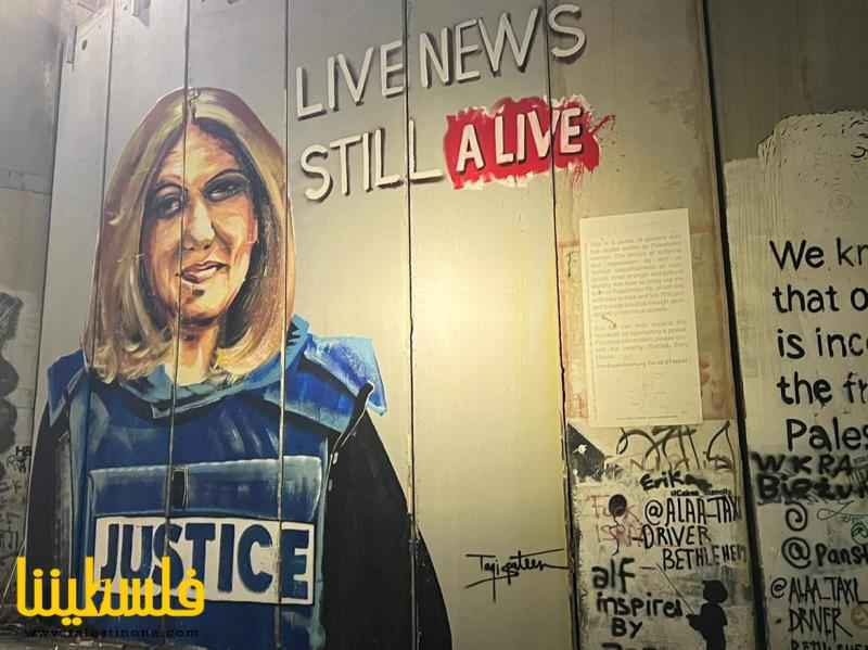 جدارية الشَّهيدة شيرين أبو عاقلة "عين الحقيقة وصوت الشعب"