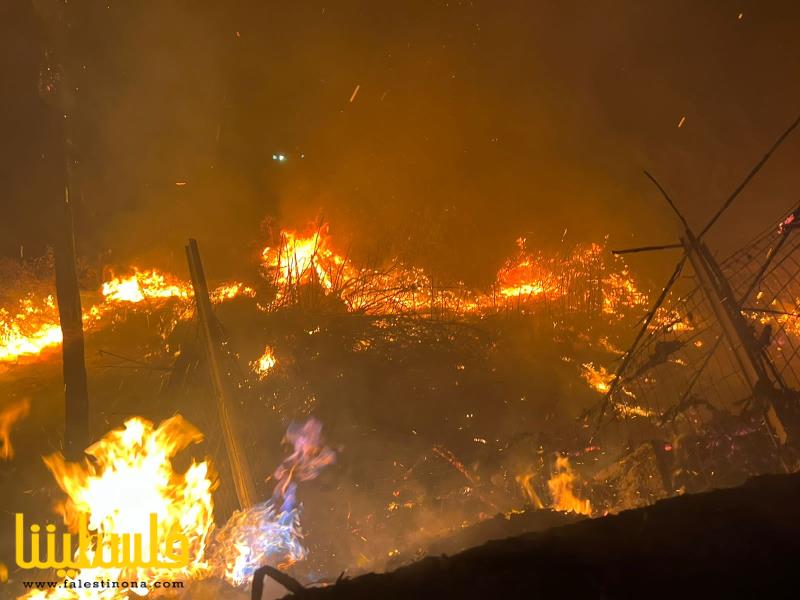 (تحت المقال - 7) - أفواج الإطفاء الفلسطينية تشارك في إخماد حريق كبير بمنطقة الآثار قرب مخيم البص