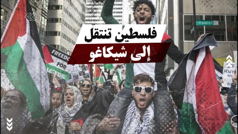 فلسطين تنتقل إلى شيكاغو