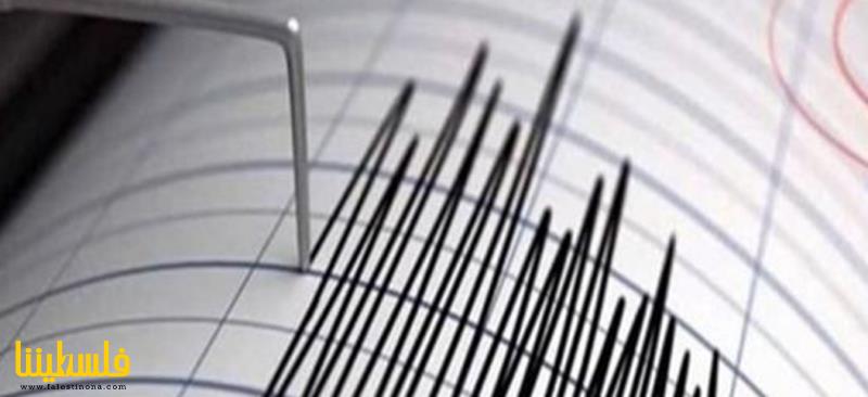 سبعة قتلى وأكثر من 700 جريح جراء زلزال ضرب ت...