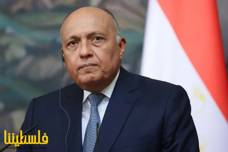 وزير الخارجية المصري يبحث مع المقررة الأممية ألبانيز الوضع في ...