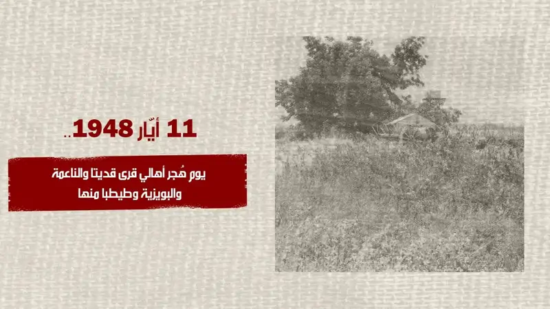 11/أيار/1948... يوم هُجر أهالي قرى قديتا والناعمة والبويزية وط...