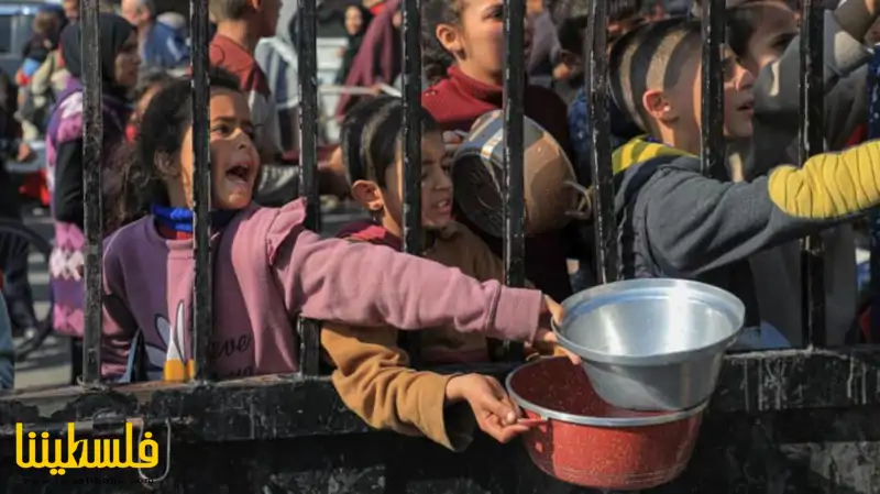تقرير دولي: مخاطر المجاعة مرتفعة بأنحاء غزة و96% من السكان يوا...
