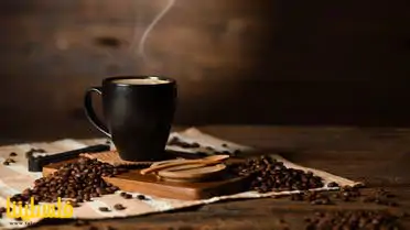 شرب القهوة سمة وراثية ولها علاقة بالسمنة.. د...