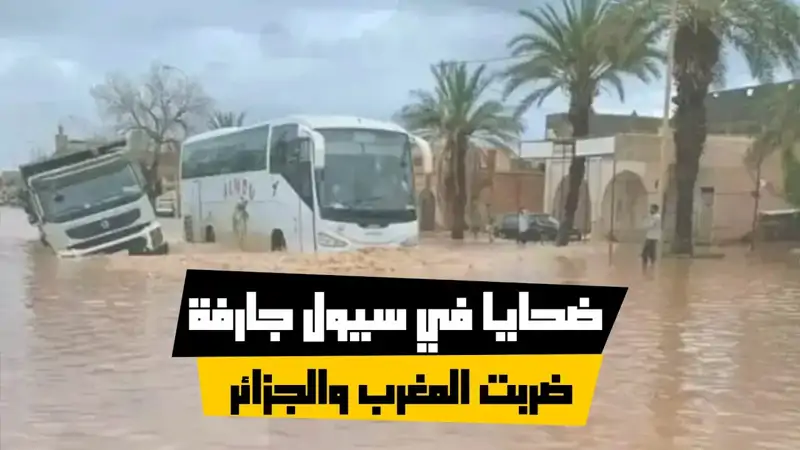 ضحايا في سيول جارفة ضربت المغرب والجزائر