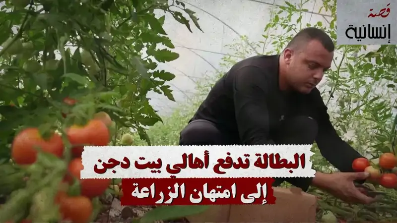 البطالة تدفع أهالي بيت دجن إلى امتهان الزراعة