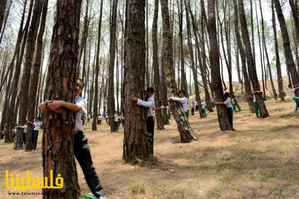 يعبدون الأشجار.. تعرف على أغرب عادات وتقاليد قبيلة "شعب النعام"