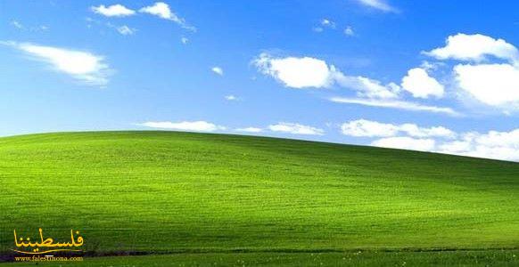 مايكروسوفت تنهي خدمة Windows XP و Office 2003 رسمياً