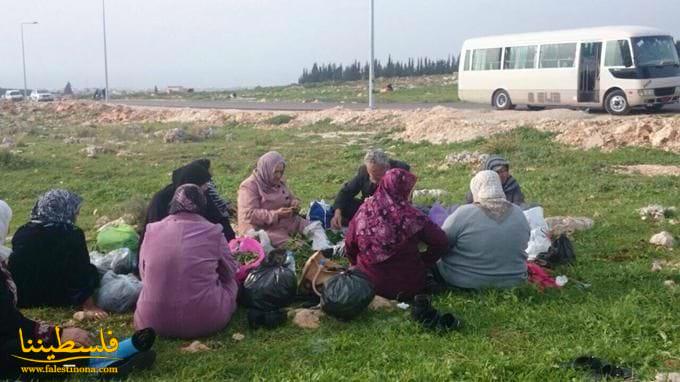 مركز سنابل ينظم رحلة استجمام وترفيه للمسنين الفلسطينيين