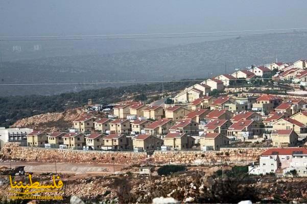 الخارجية: التوسع الاستيطاني يعني نشر مزيد من قواعد الإرهاب اليهودي