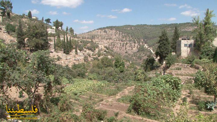 في يوم البيئة العالمي: الاحتلال السبب الرئيس لتدهور التنوع الحيوي في فلسطين