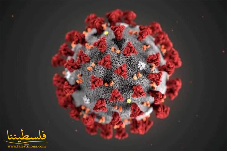 كورونا عالميا: أكثر من 855 ألف وفاة و25 مليون و653 ألف اصابة