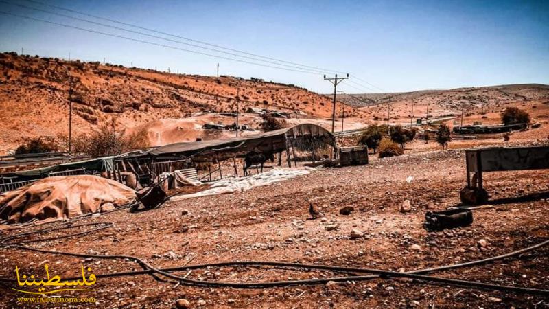 في الأغوار.. الطريق وعرة إلى المدرسة