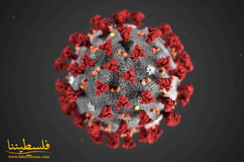 كورونا عالميا: 3 ملايين و729 الف وفاة و173 مليونا و351 ألف إصابة