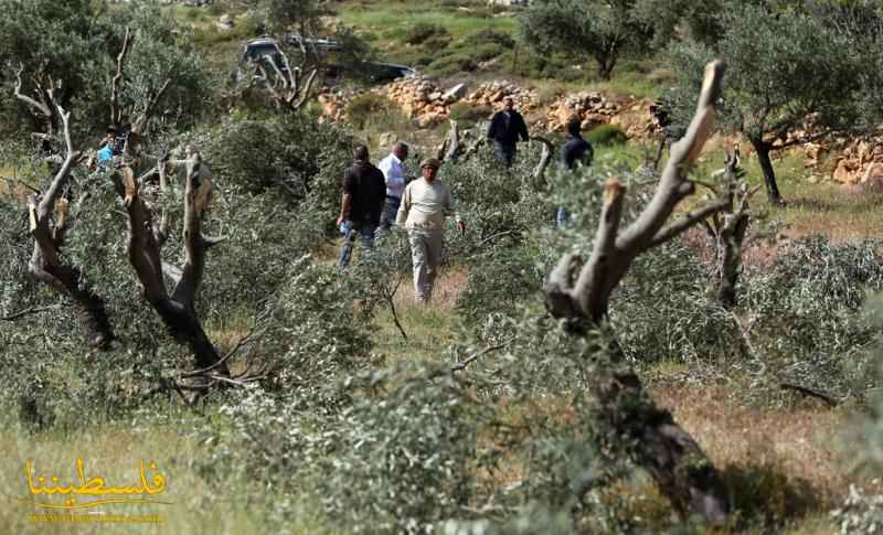 الاحتلال يمسح أراضي واسعة في الخضر جنوب بيت لحم