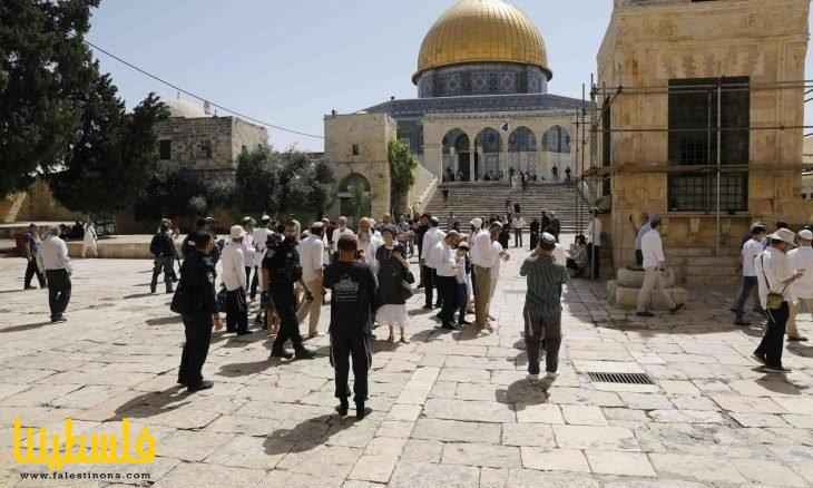 الأوقاف: 24 اقتحاما للأقصى ومنع رفع الأذان في الإبراهيمي 142 وقتا الشهر الماضي