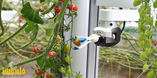 الزراعة الذكية.. كيف تعوض الروبوتات نقص العم...