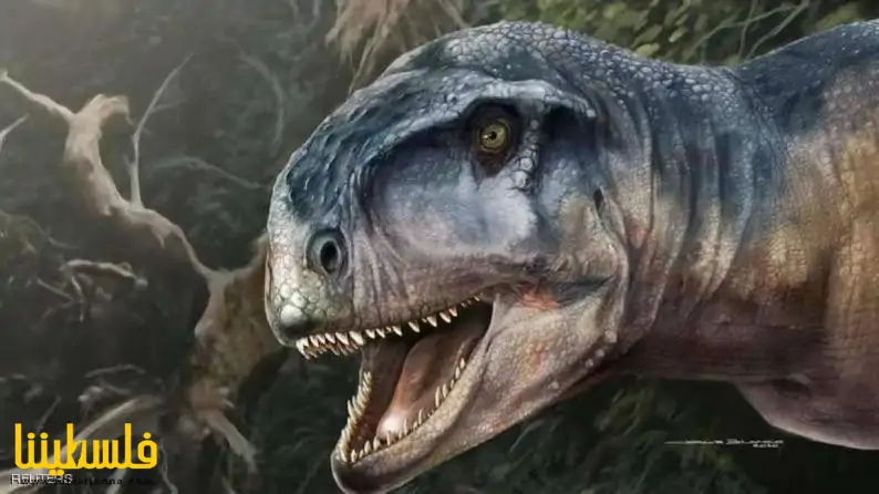 العثور على جمجمة "الديناصور المخيف"