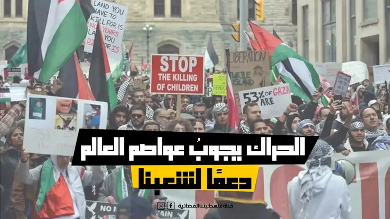 11 شهرًا من العدوان والحراك يجوبُ عواصم العا...