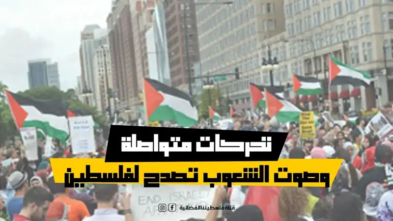 تحركات متواصلة وصوت الشعوب تصدح لفلسطين