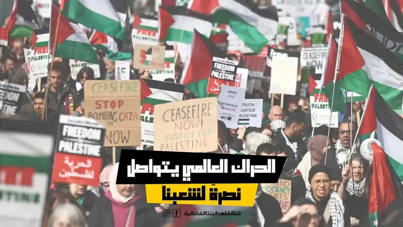 الحراك العالمي يتواصل نصرةً لشعبنا