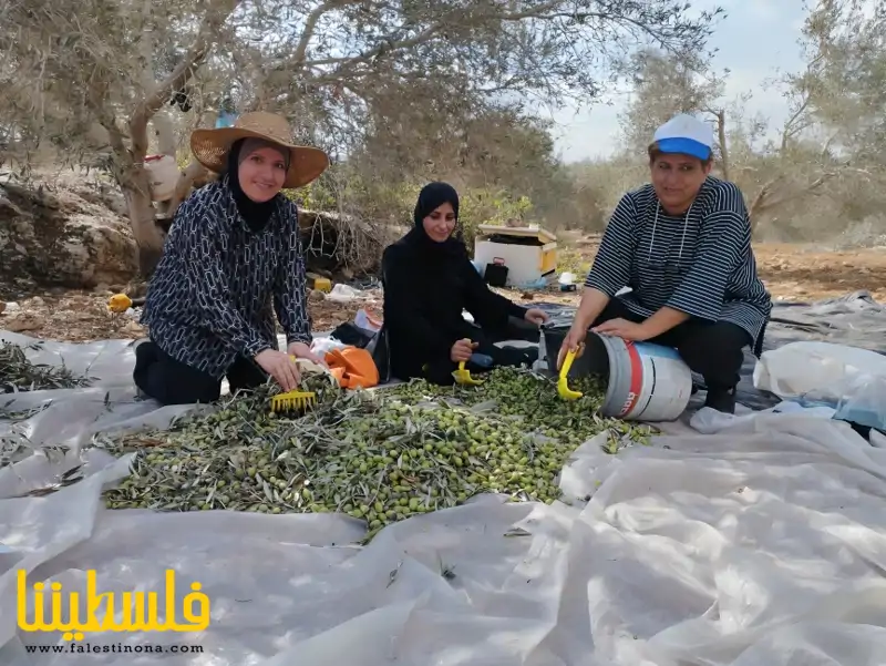 "فزعة" تنتصر لحُراس الأرض ولأشجار السماء