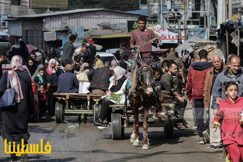 عربات "التوك توك" بديل وسائل النقل في غزة