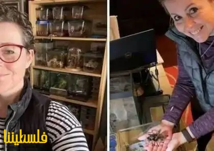 أمراة تربي 32 عنكبوتاً ضخماً لمواجهة خوفها من العناكب